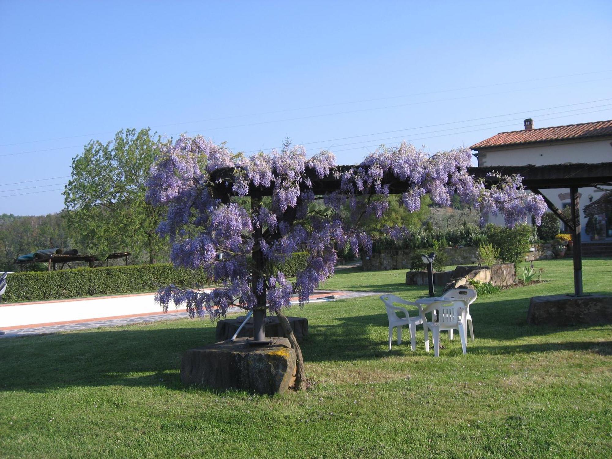 Agriturismo Villani Poderi Nesti & Cupoli Lastra a Signa Dış mekan fotoğraf